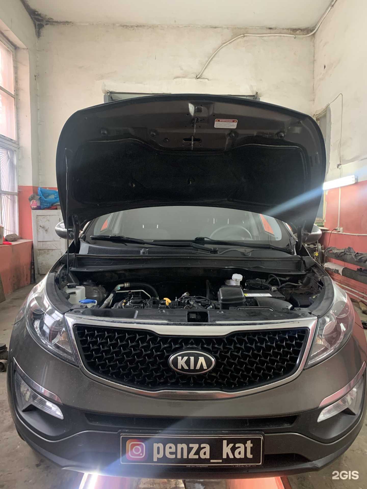 Отзывы на компанию Penzakat в Пензе c фото