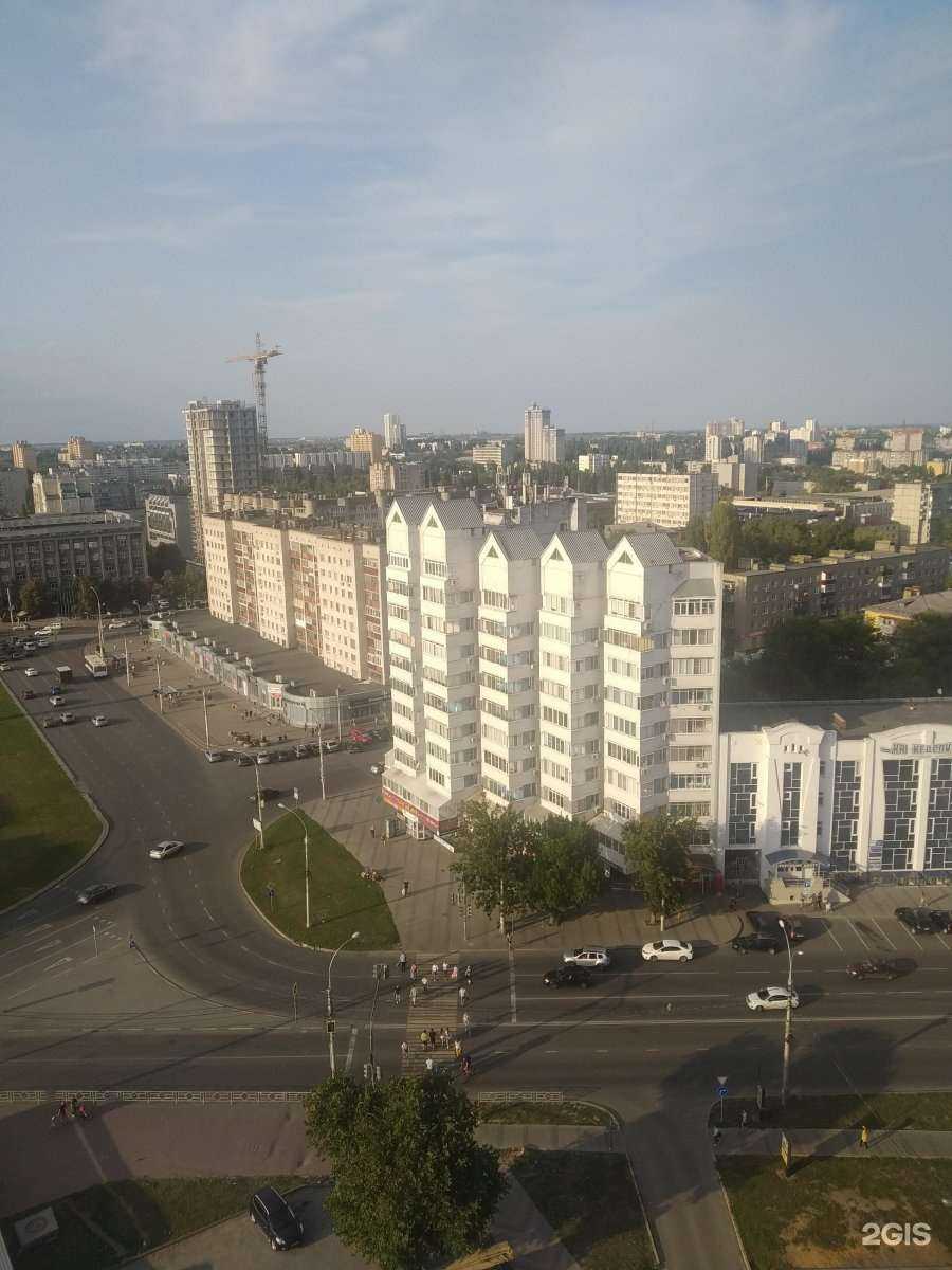 Отзывы на компанию Садовод в Липецке c фото - фотография 2 из 2