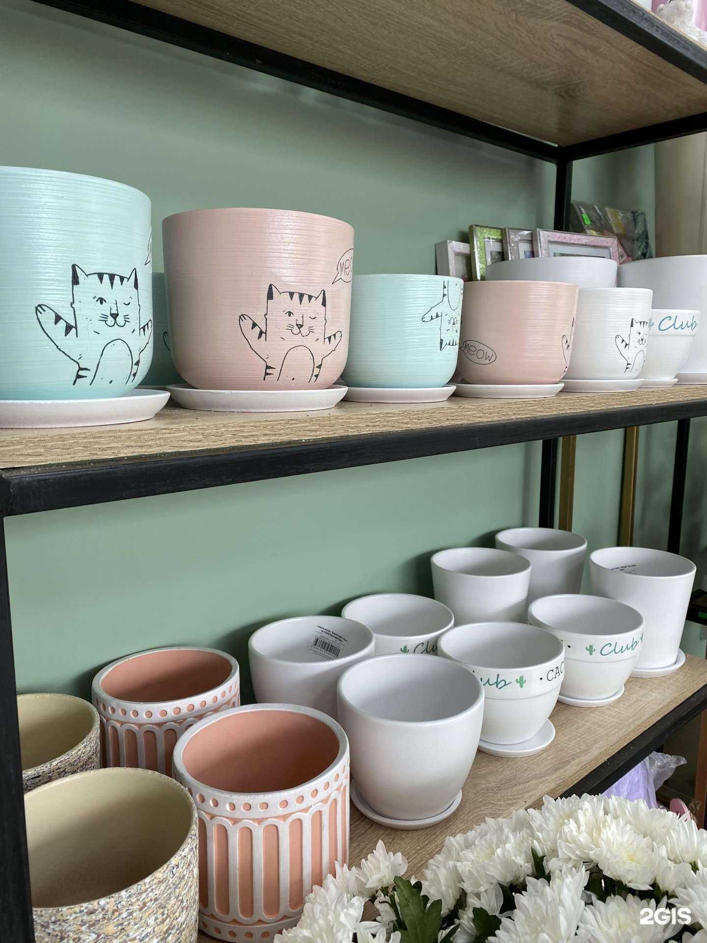 Отзывы на компанию Колибри в Можайске c фото