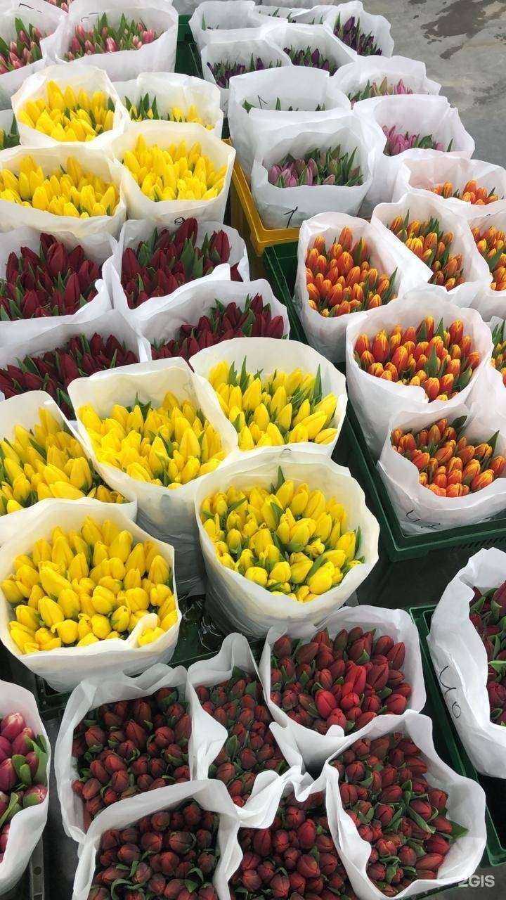 Отзывы на компанию Городские цветы в Рязани c фото