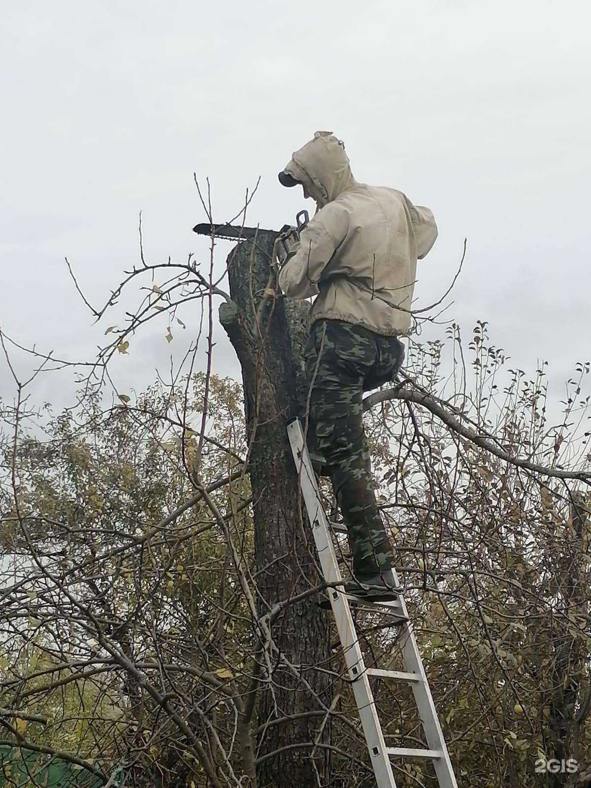 Отзывы на компанию Сэс-36.рф в г. Воронеж c фото