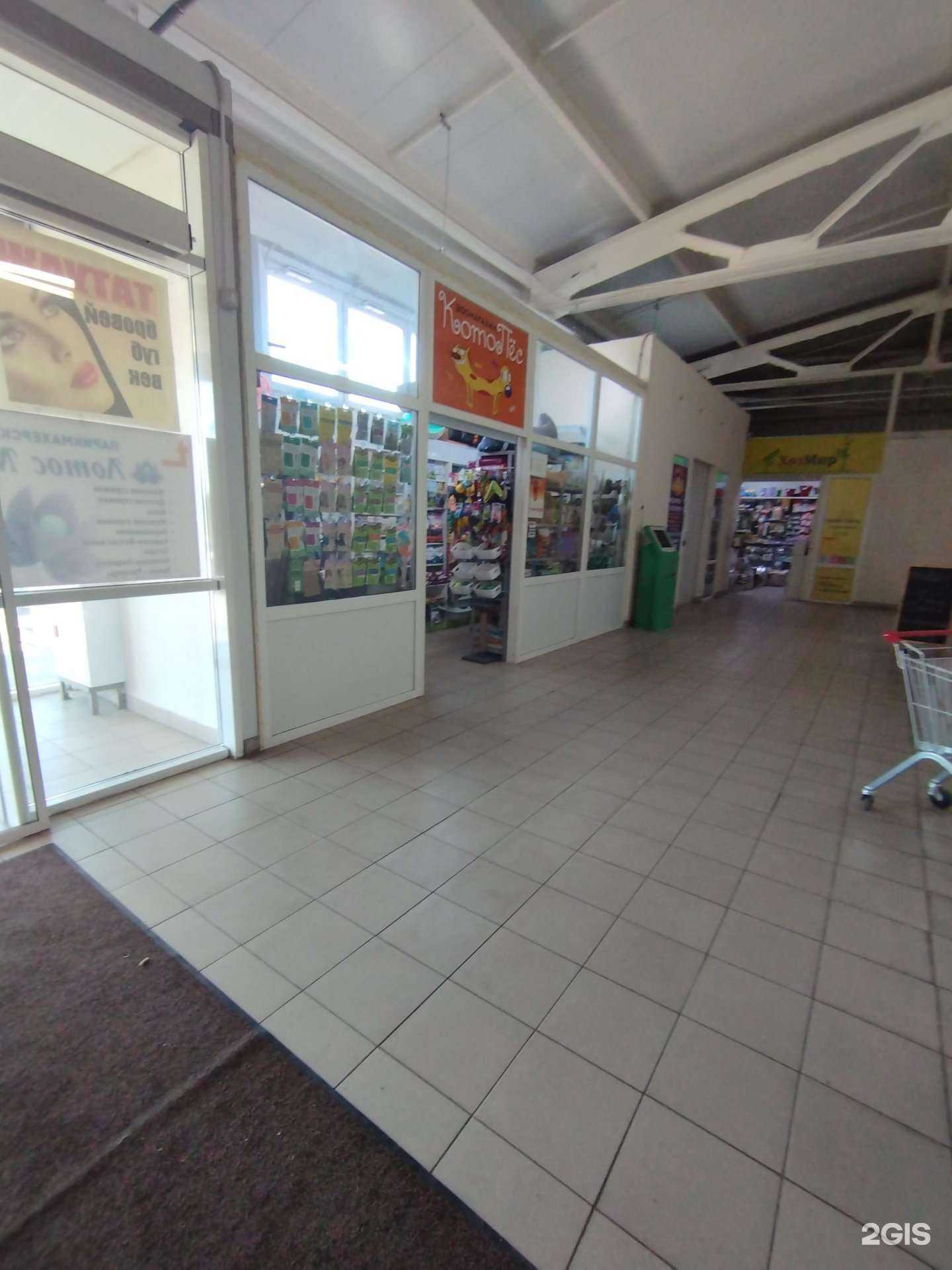 Отзывы на компанию Котопес в Ростове-на-Дону c фото