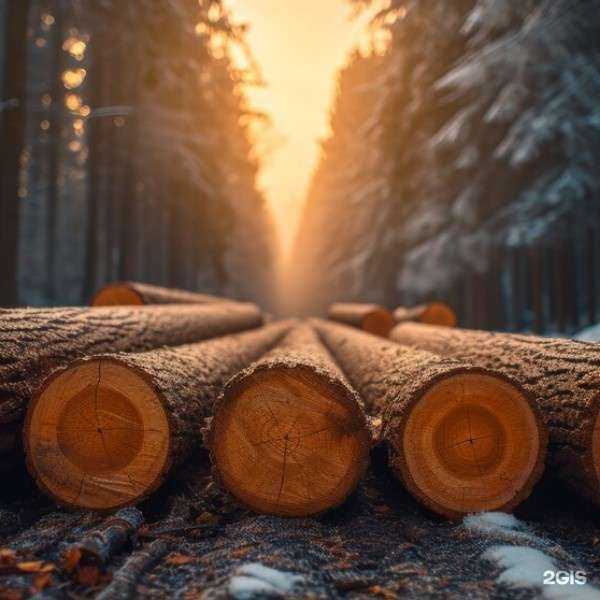 Отзывы на компанию Поставка и Снабжение в г. Новосибирск c фото