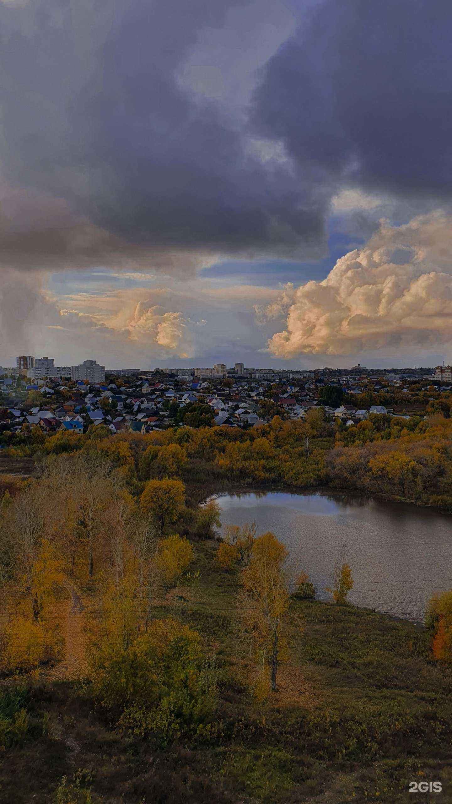 Отзывы на компанию Суши даром в Барнауле c фото - фотография 2 из 2