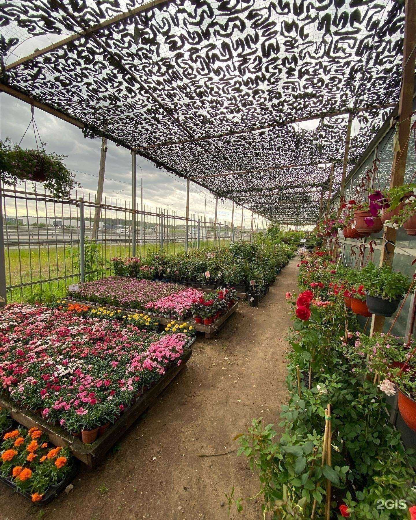 Отзывы на компанию Планета флора в г. Пушкино c фото