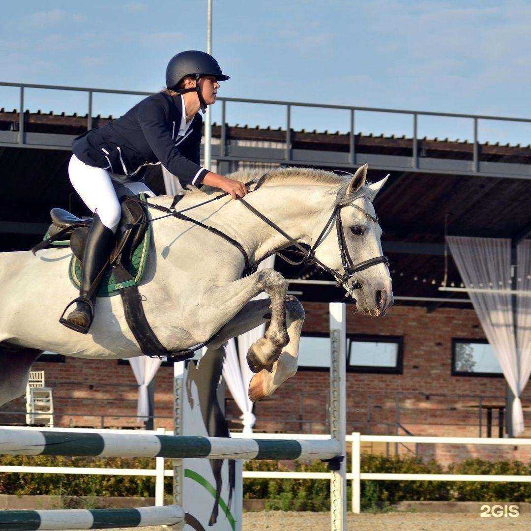 Отзывы на компанию Свобода в г. Орск c фото