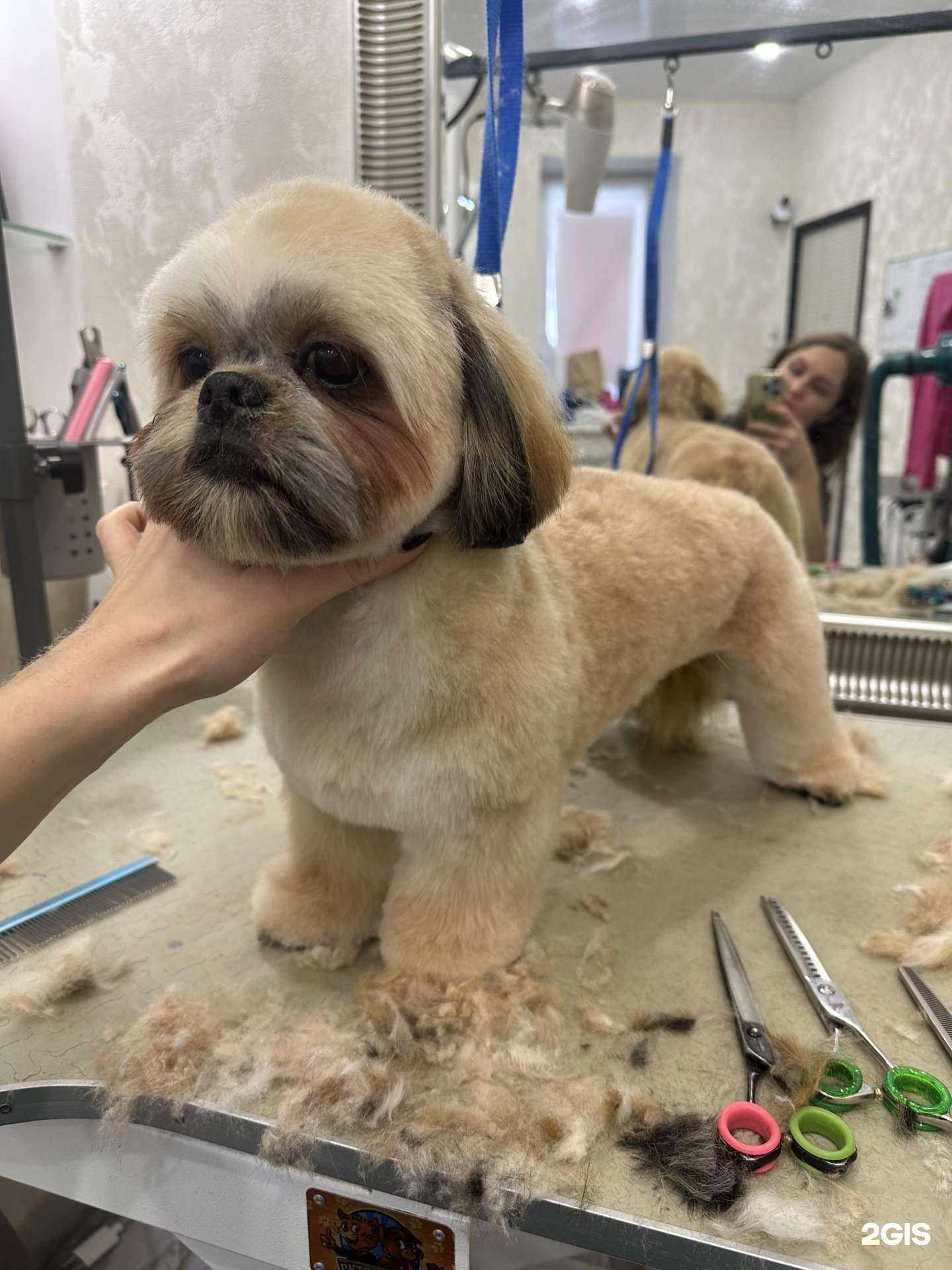 Отзывы на компанию Lounge groom в Екатеринбурге c фото