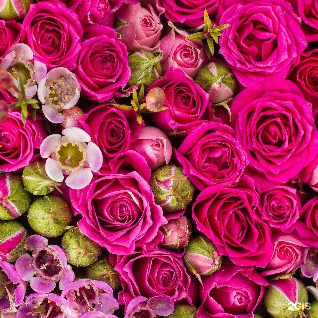 Отзывы на компанию Грань в Барнауле c фото