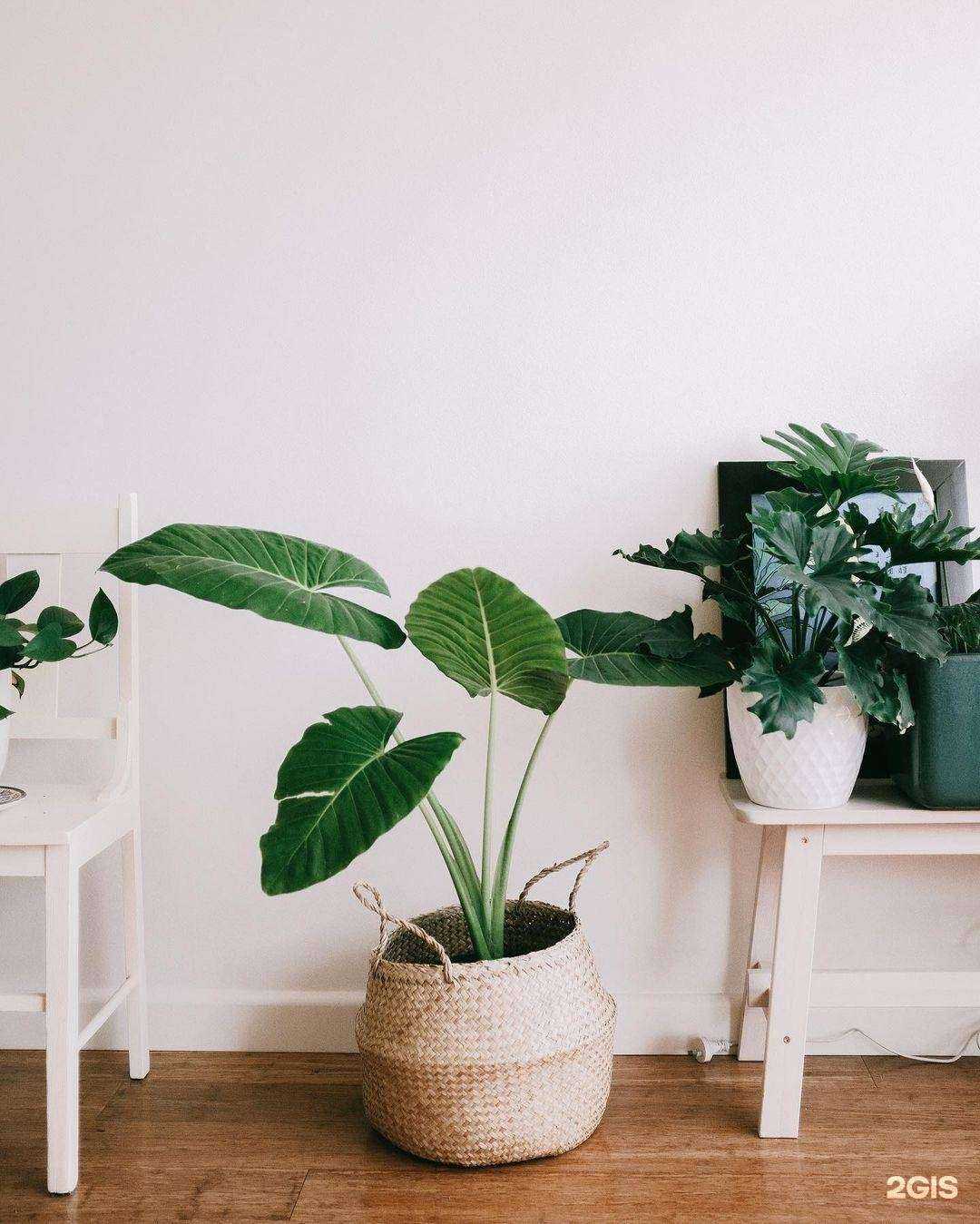 Отзывы на компанию Шелвуд в г. Казань c фото