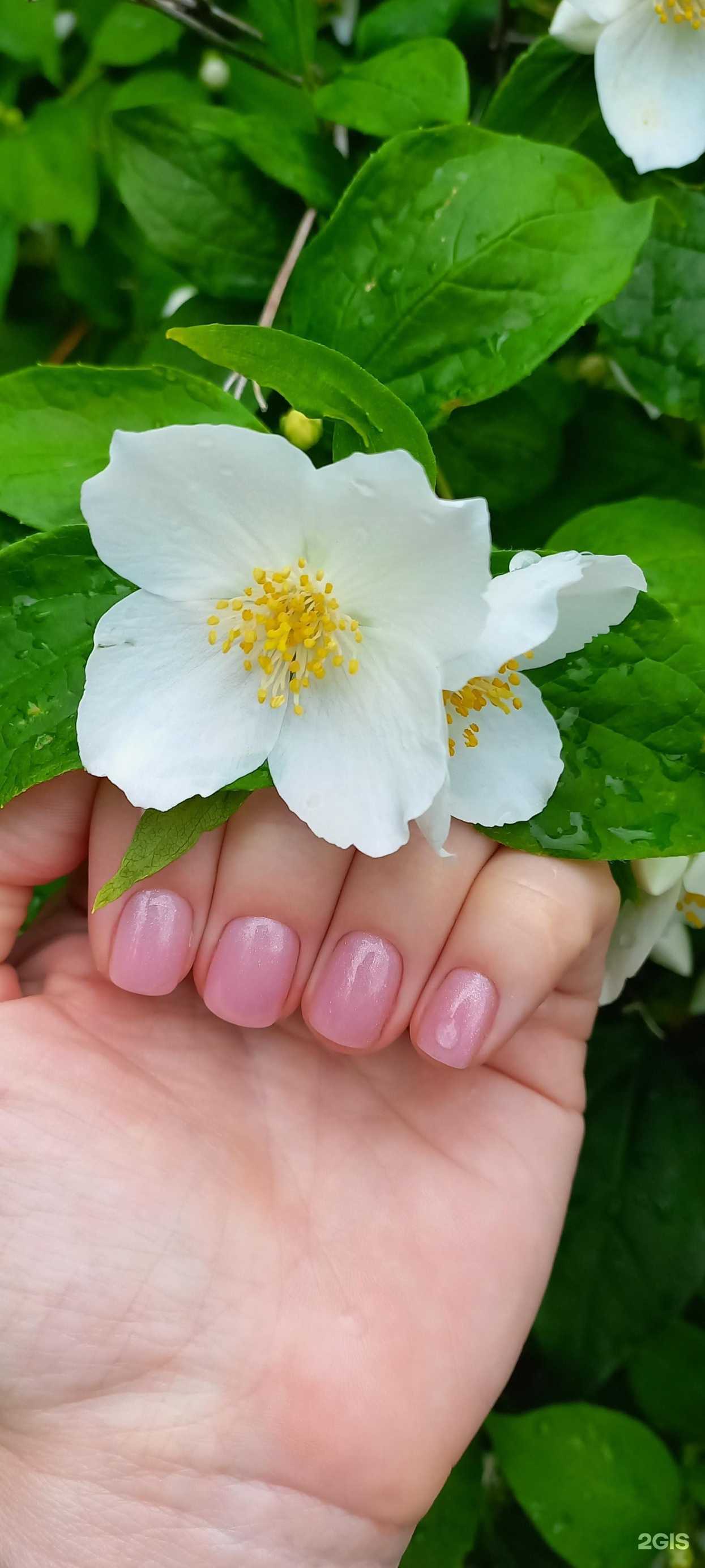 Отзывы на компанию Mazhivi  в Тольятти c фото