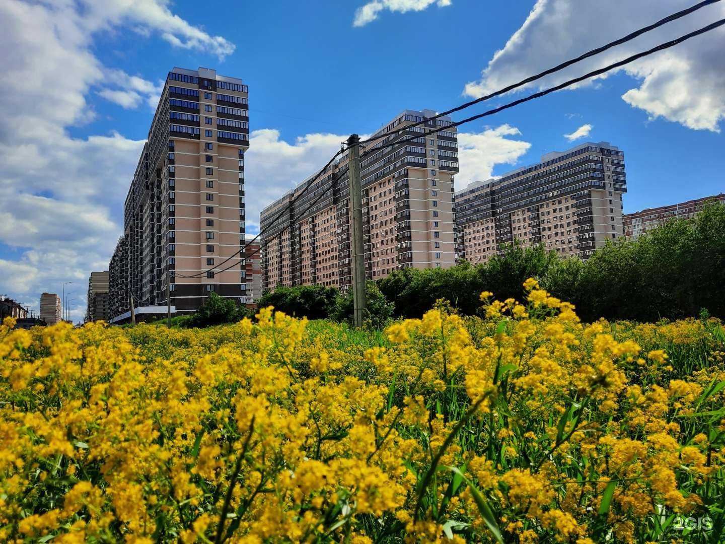 Отзывы на компанию Котлеты Кстати в Краснодаре c фото