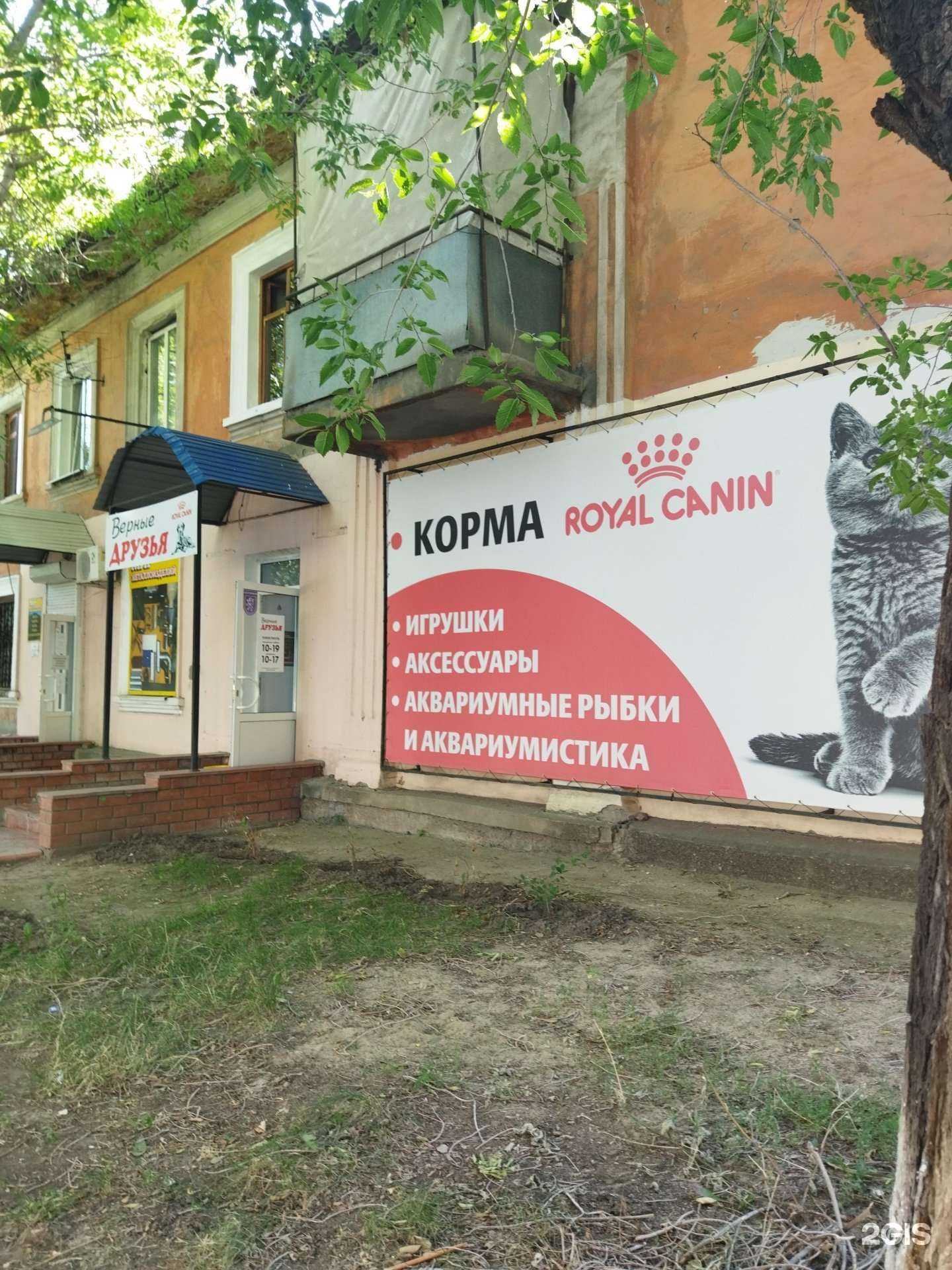 Отзывы на компанию Верные друзья в Орске c фото