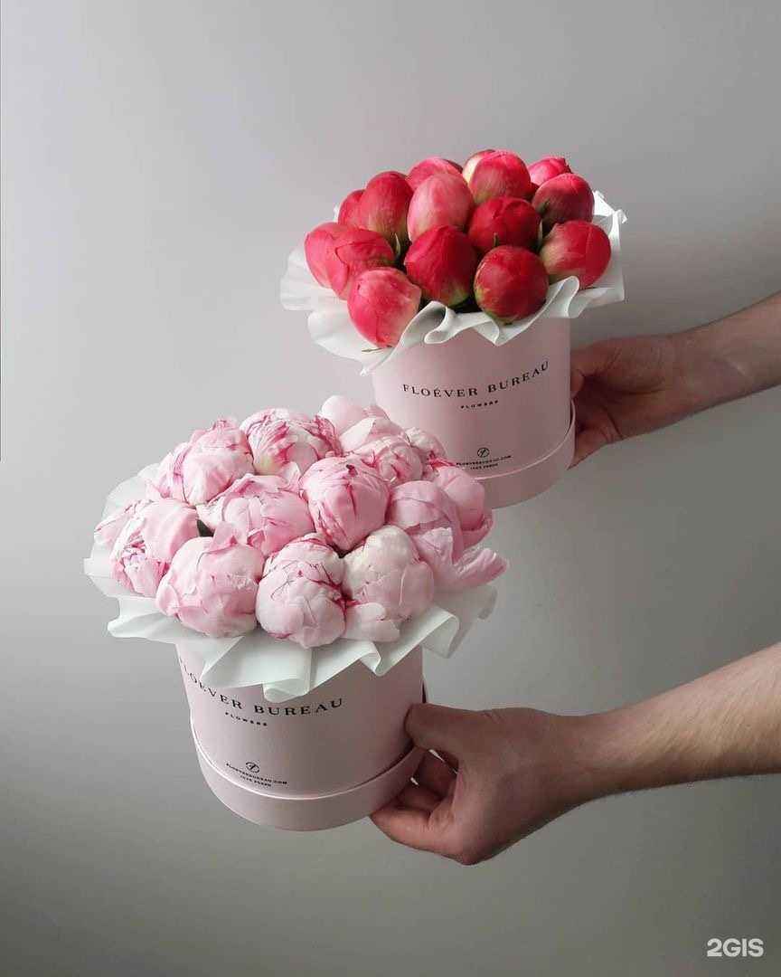 Отзывы на компанию Dukhovnykh flowers в г. Сочи c фото