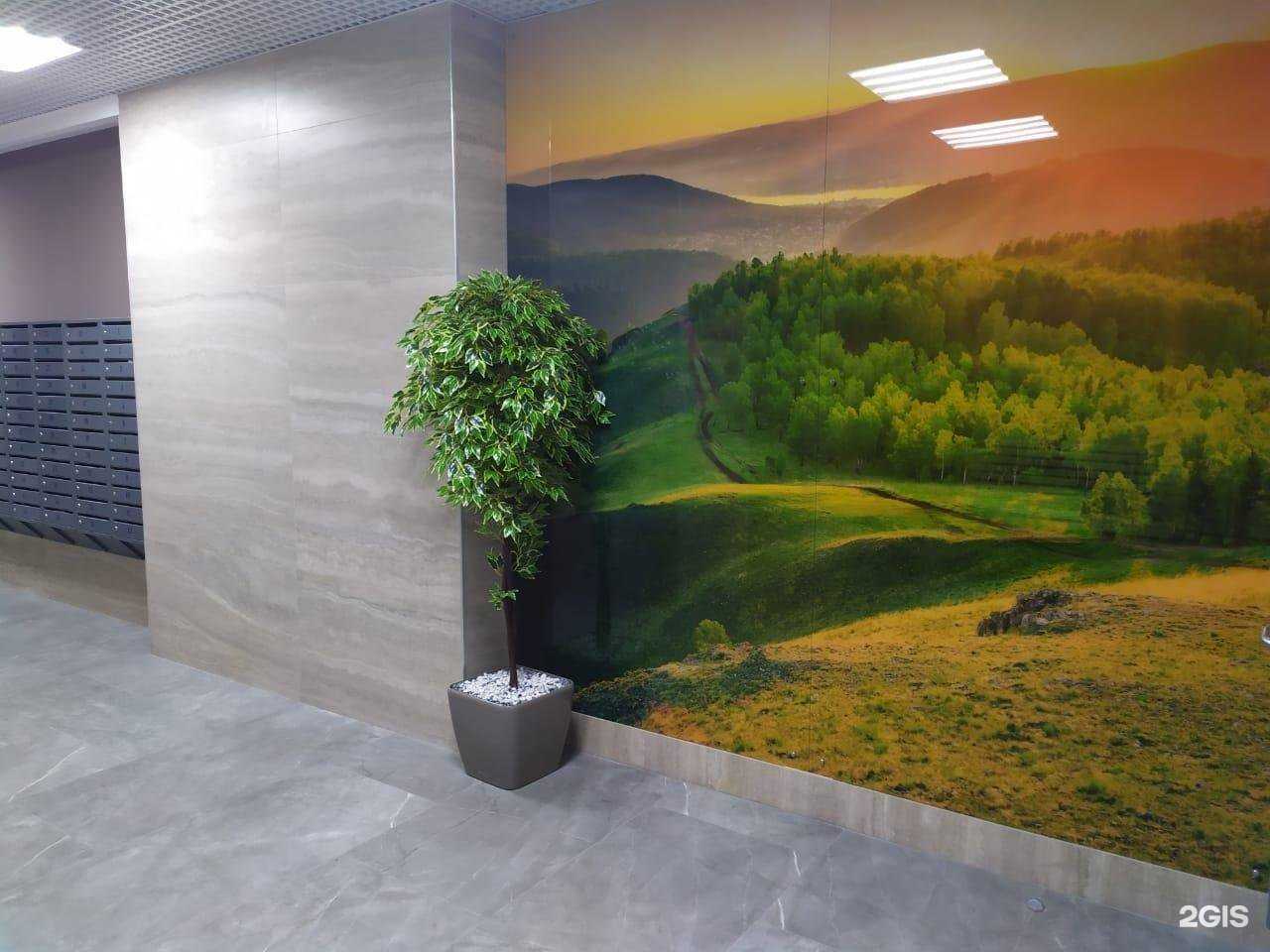 Отзывы на компанию Чистый Взгляд в Красноярске c фото