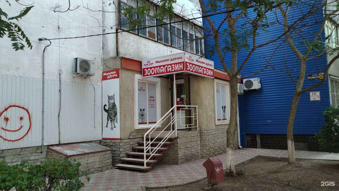 Отзывы на компанию Миллион друзей в г. Волгодонск c фото