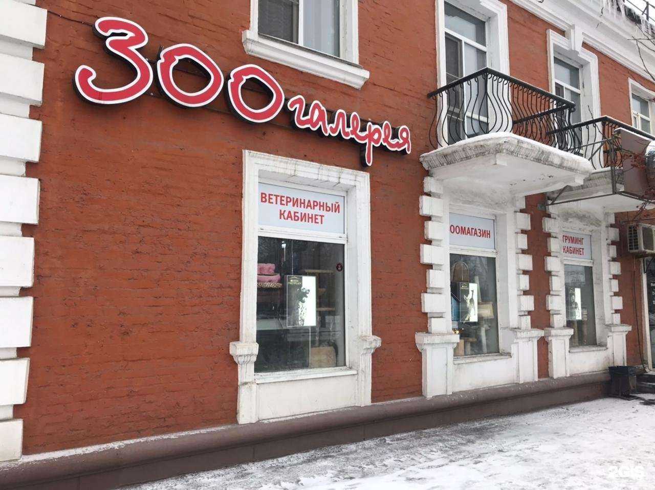 Отзывы на компанию Зоогалерея в Омске c фото