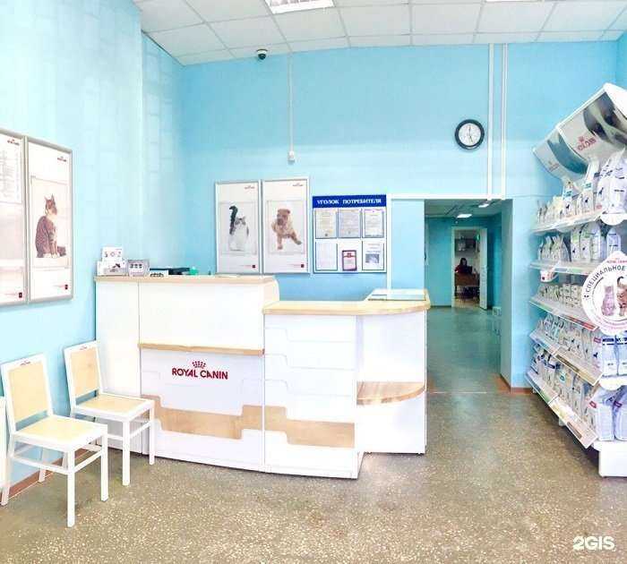 Отзывы на компанию Ветеринарная клиника доктора Малыхиной в Перми c фото