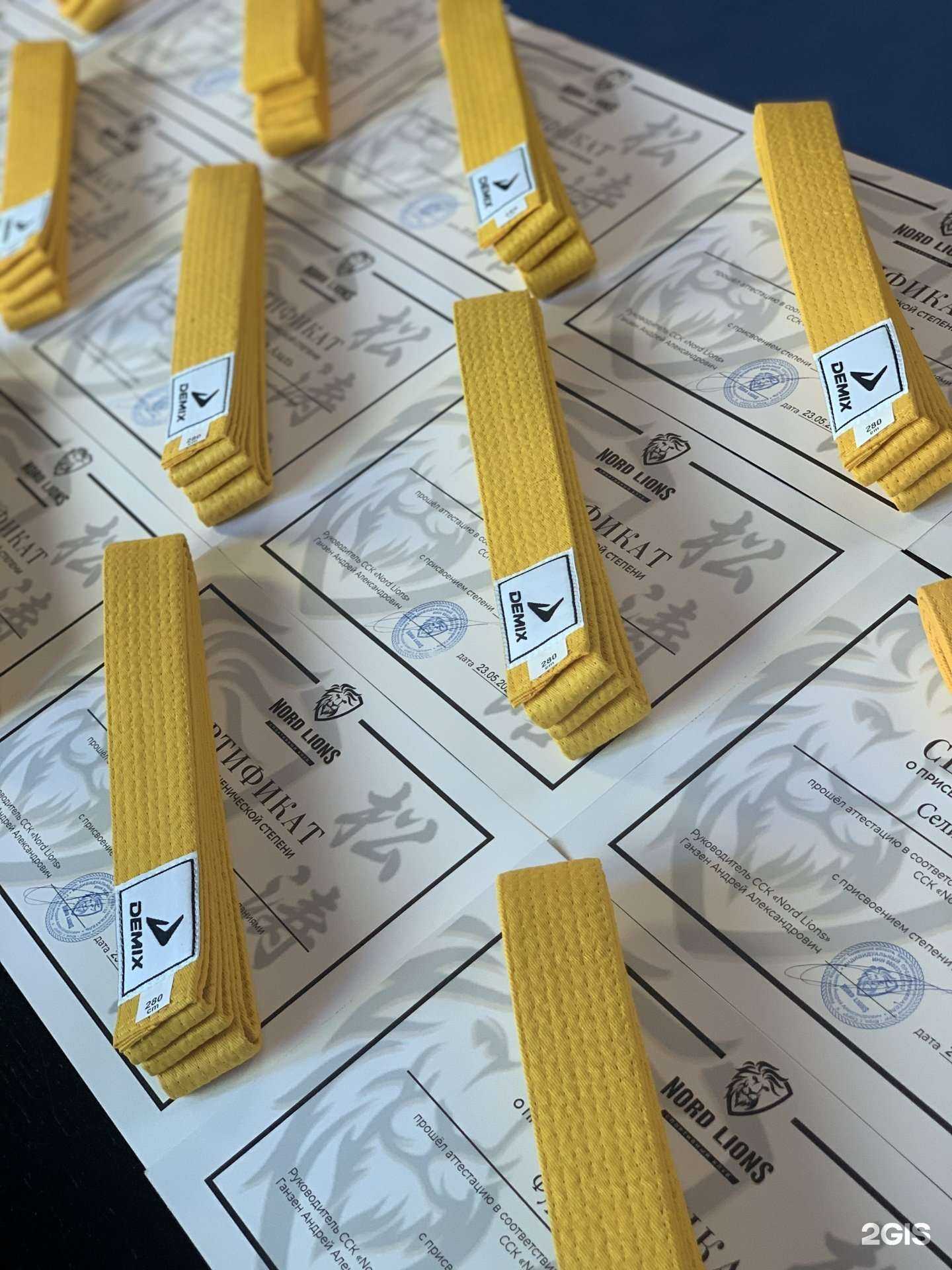 Отзывы на компанию Nord lions в Сургуте c фото