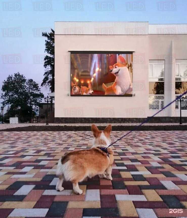 Отзывы на компанию Светодиод в Краснодаре c фото