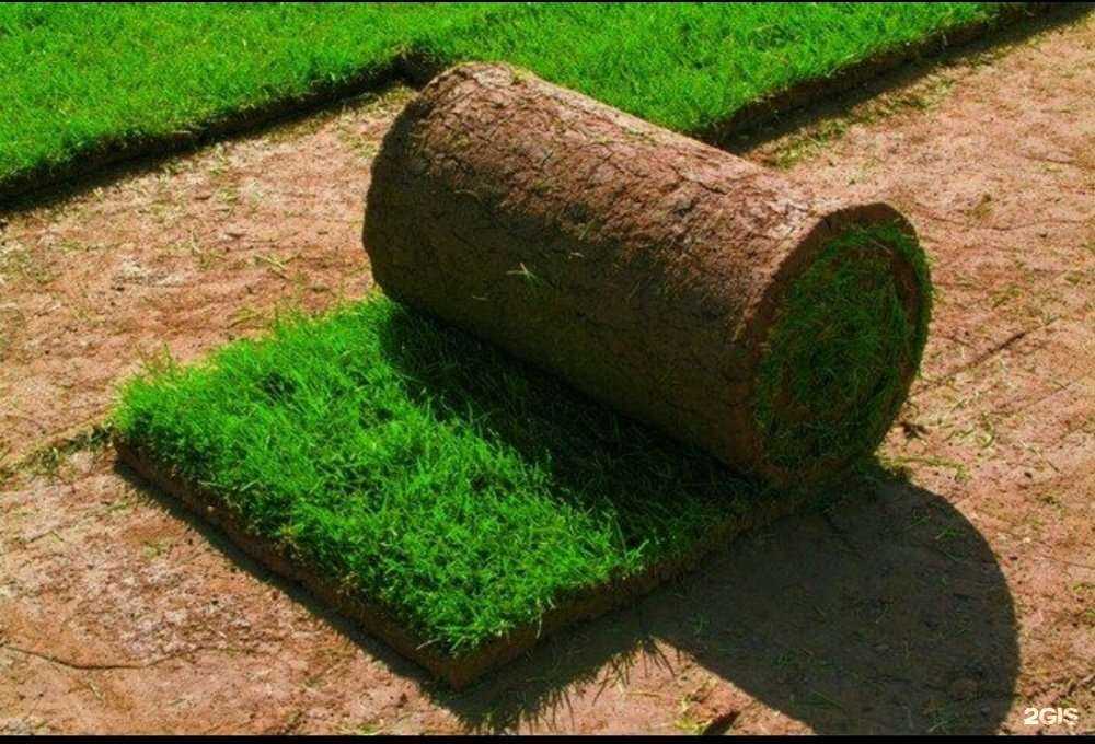 Отзывы на компанию Гарден в Перми c фото