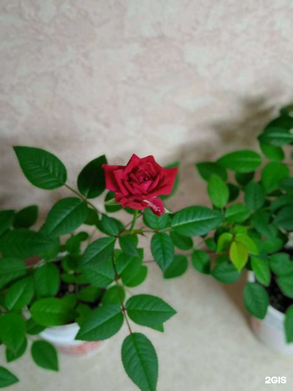 Отзывы на компанию Витэн в Челябинске c фото - фотография 2 из 2