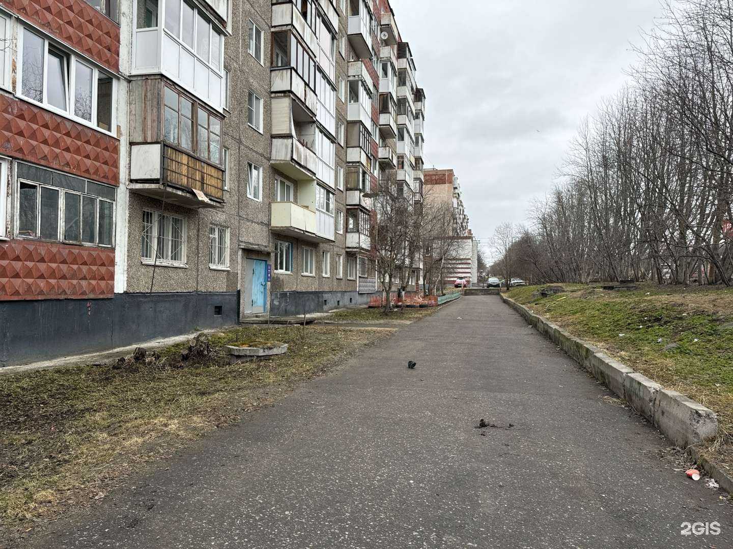 Отзывы на компанию Чистый пушистый в г. Мурманск c фото