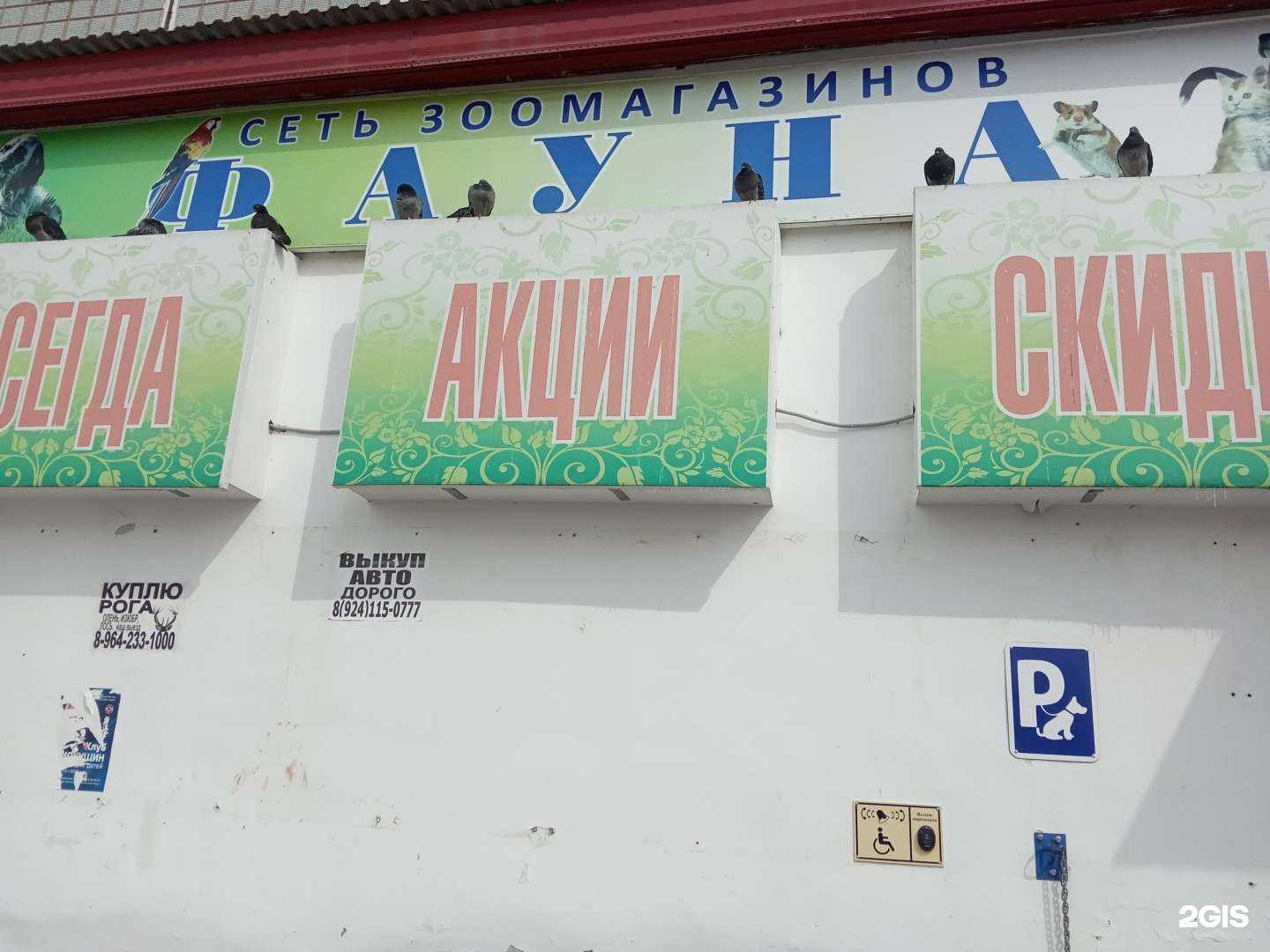 Отзывы на компанию Фауна в Амурске c фото