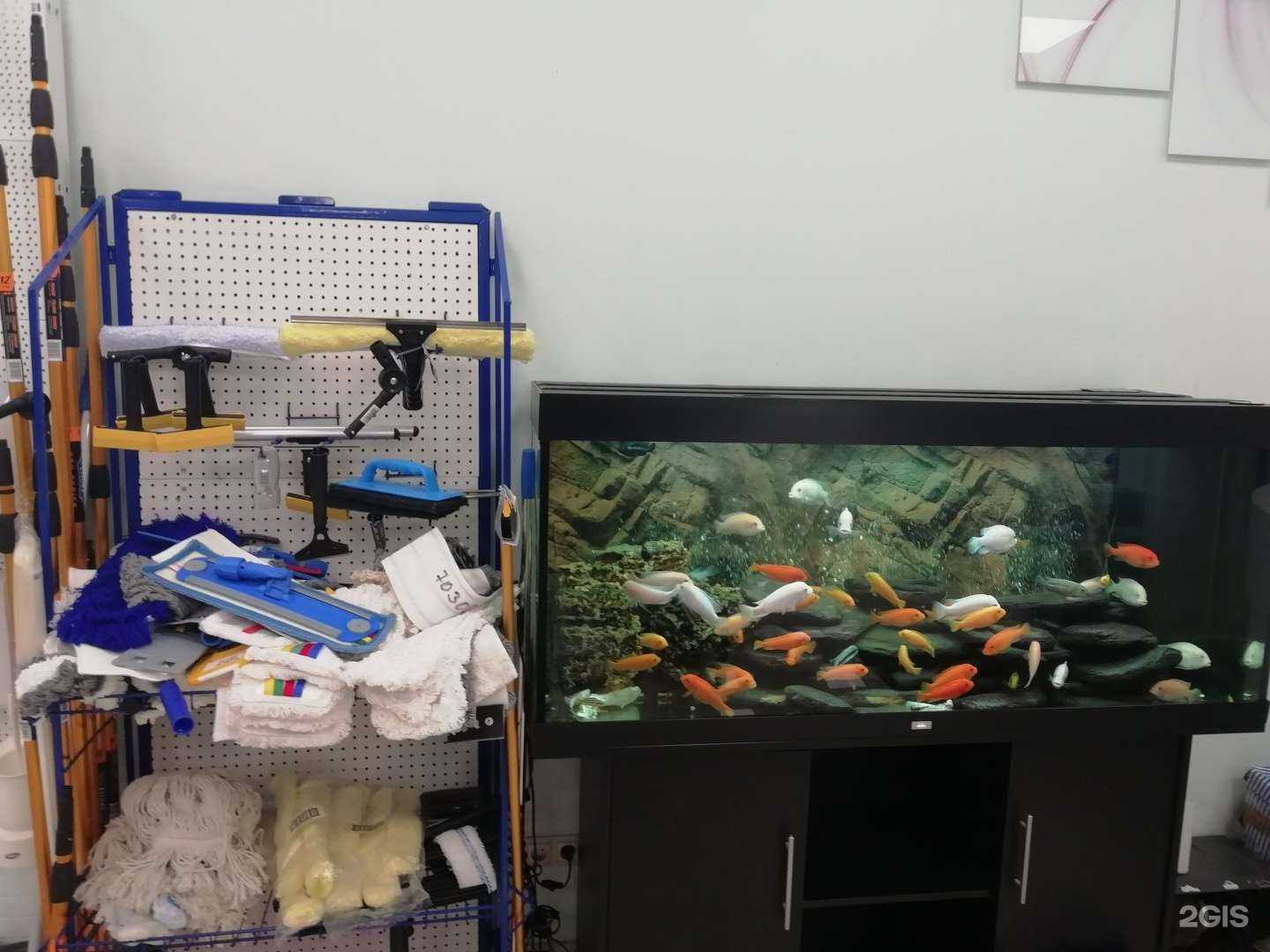 Отзывы на компанию Чисторитет в Владимире c фото