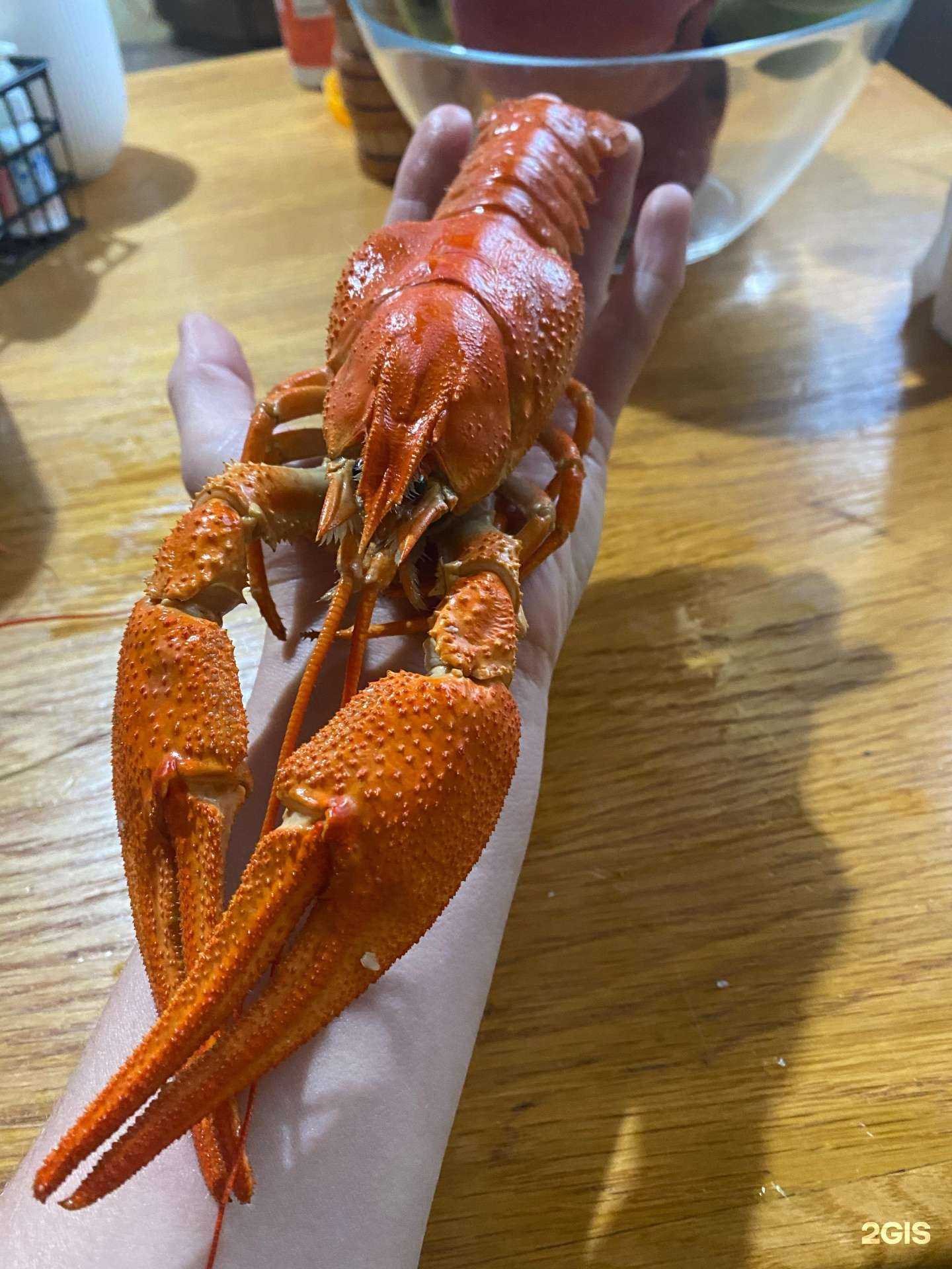 Отзывы на компанию Магазин живой рыбы и раков в Краснодаре c фото