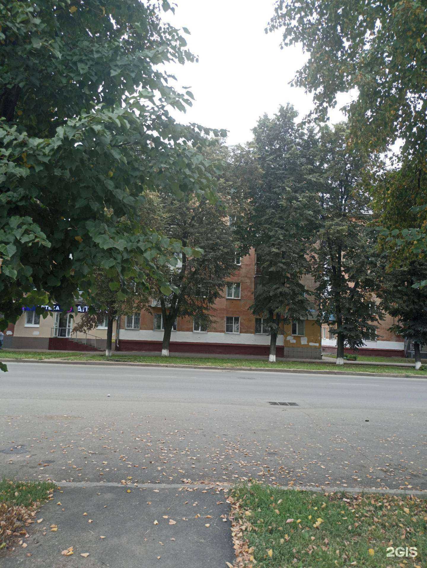 Отзывы на компанию Центральный в г. Кемерово c фото