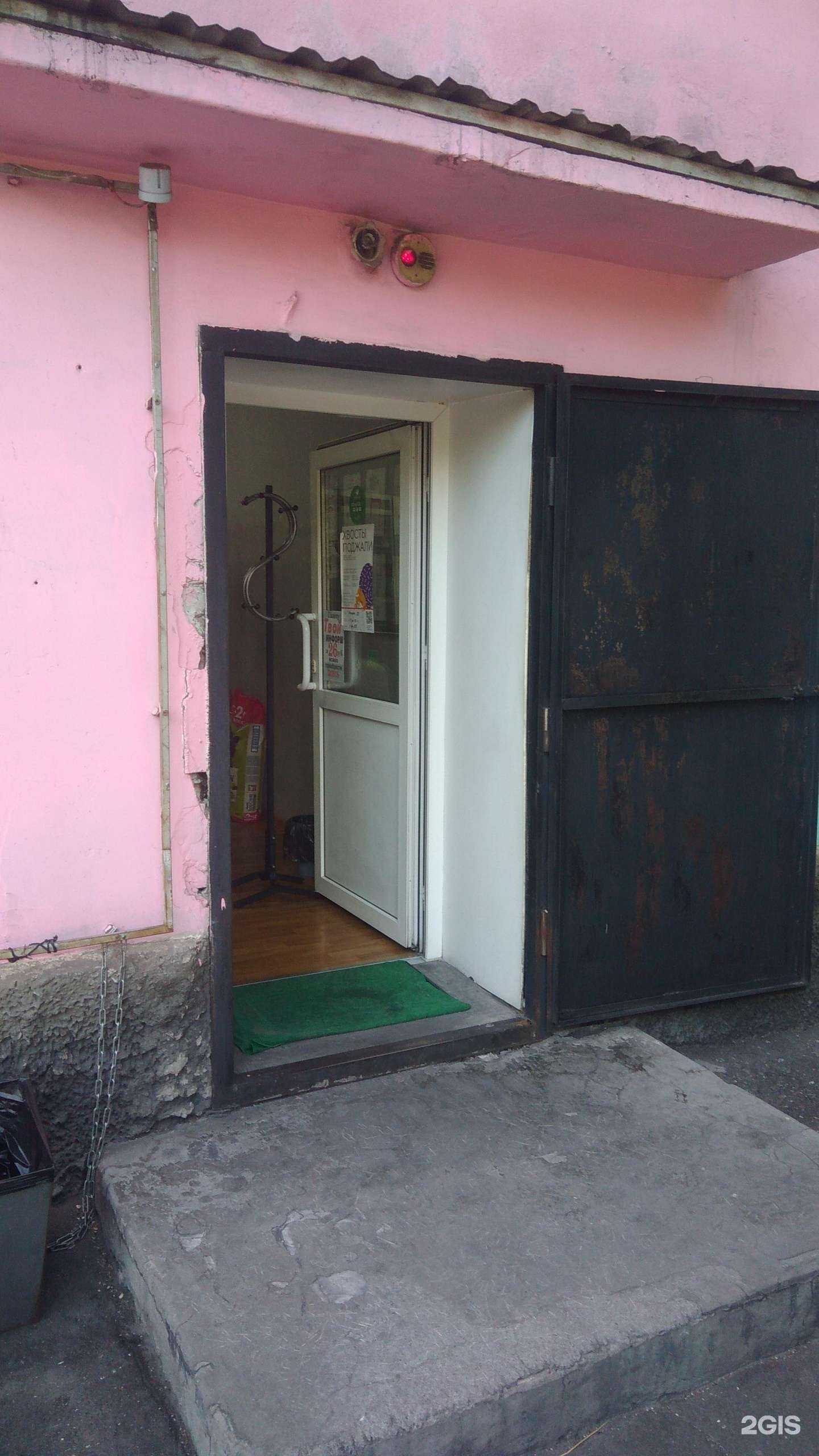 Отзывы на компанию Айболит в Кызыле c фото