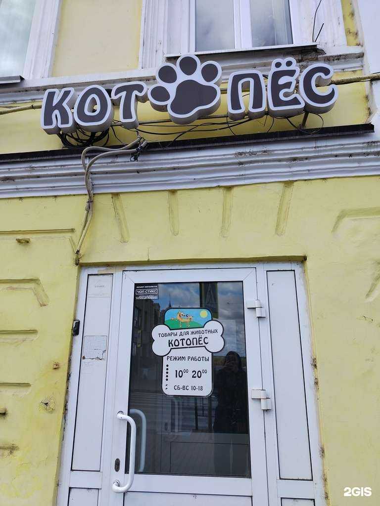 Отзывы на компанию Котопёс в г. Сарапул c фото