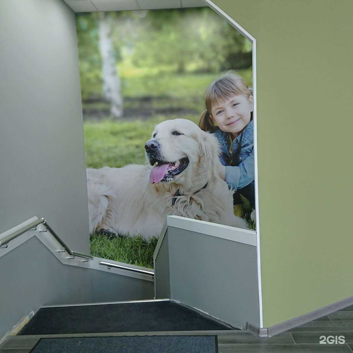 Отзывы на компанию Фауна в Старом Осколе c фото