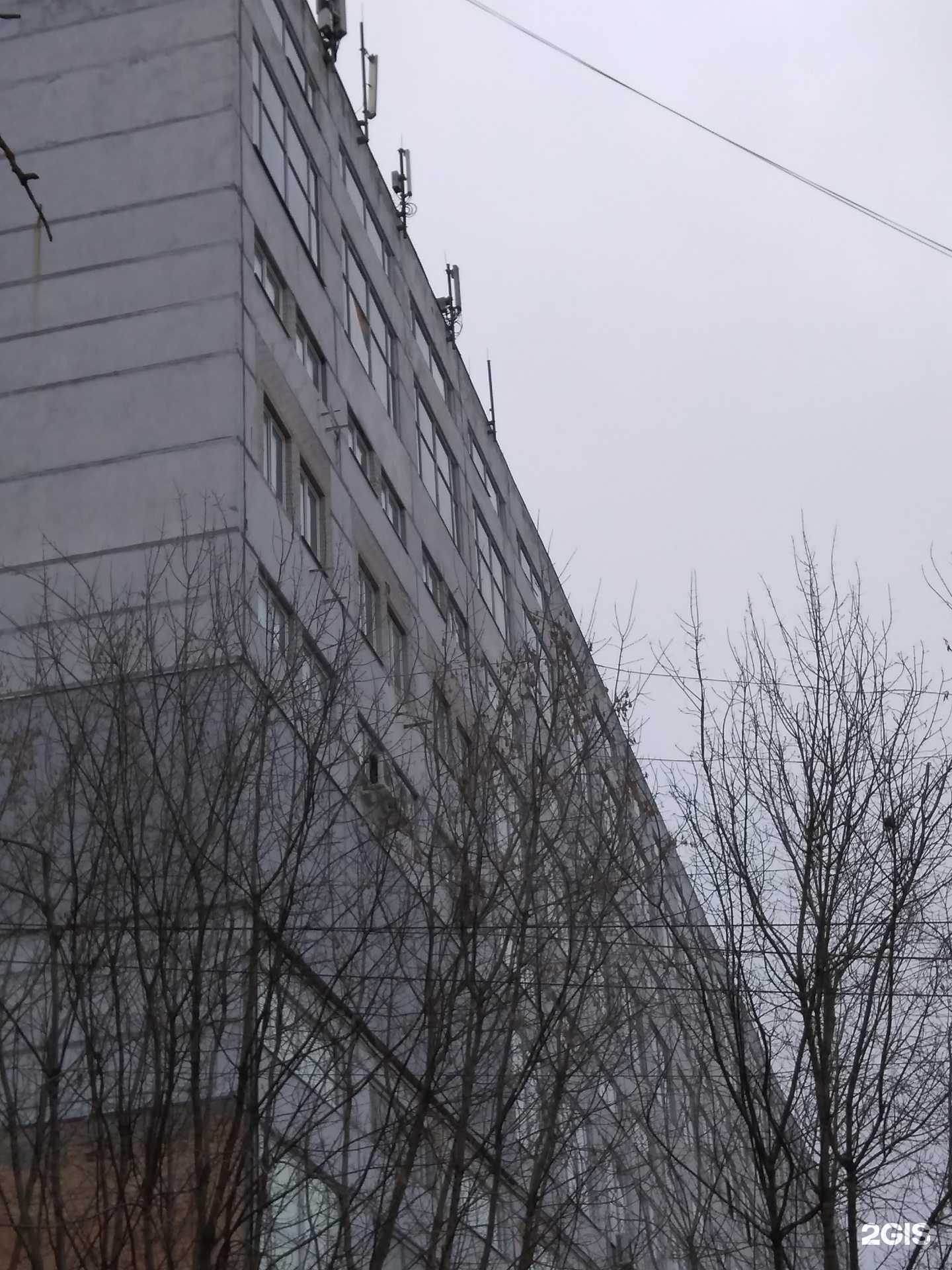 Отзывы на компанию Своя геометрия в Калуге c фото