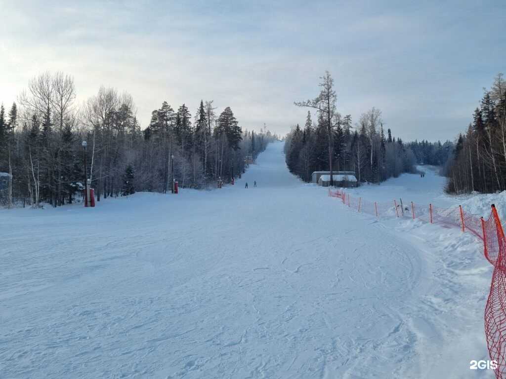 Отзывы на компанию Кедр в Новоуральске c фото