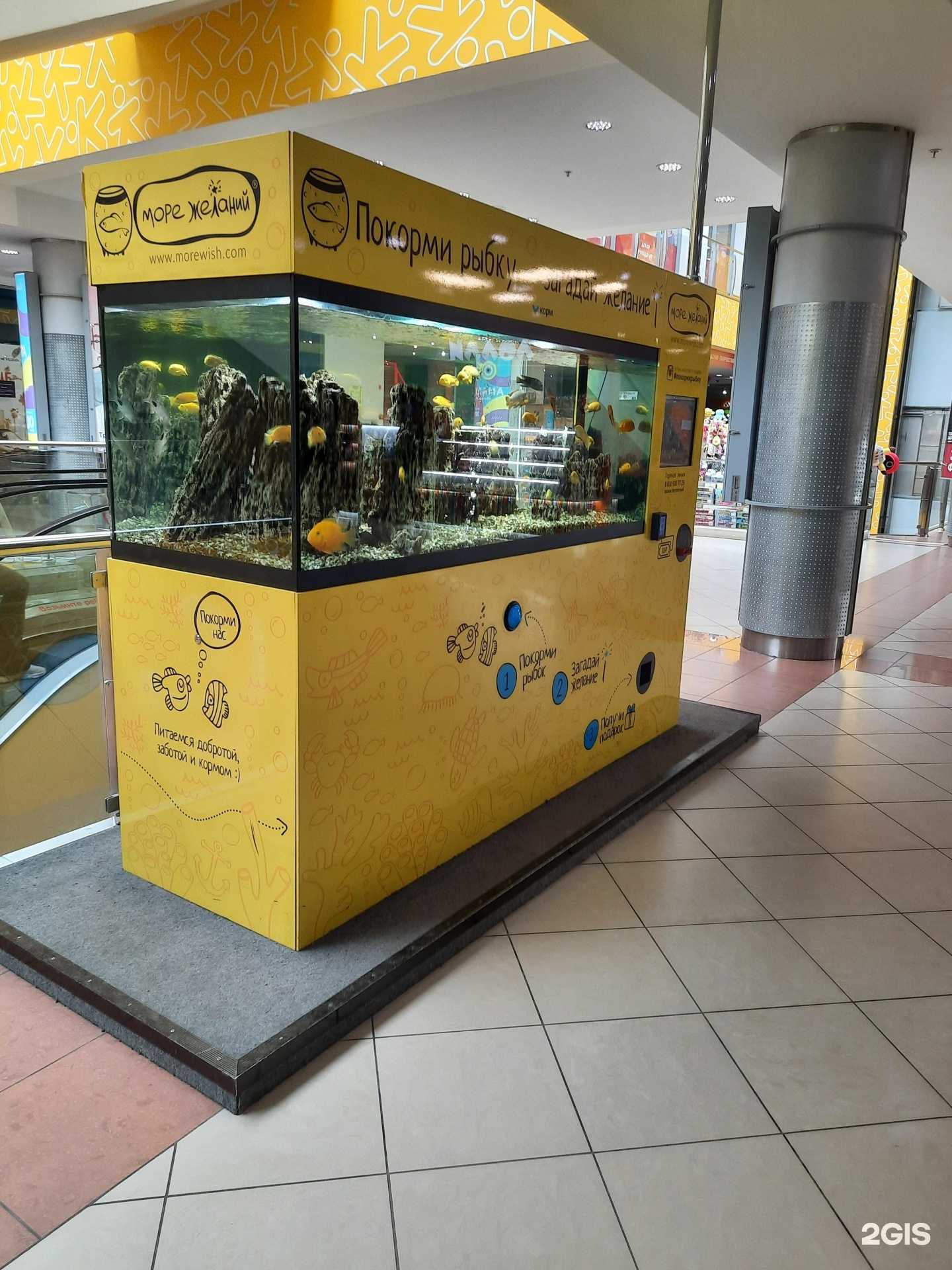 Отзывы на компанию Море Желаний в Перми c фото