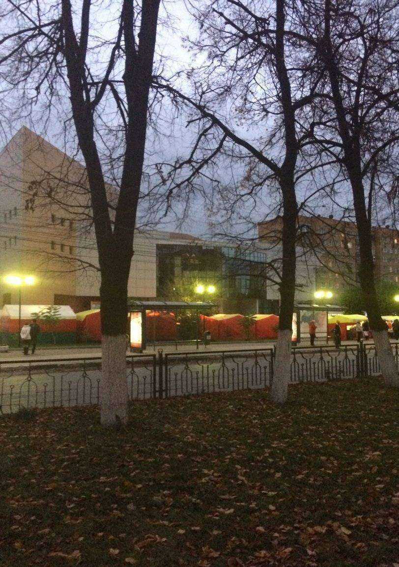 Отзывы на компанию Звёздный в Рязани c фото - фотография 2 из 2