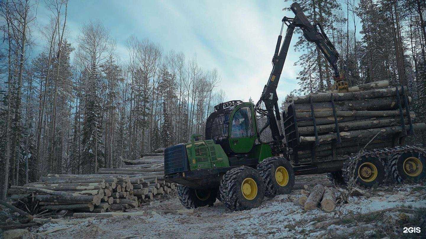 Отзывы на компанию Дивный лес в Одинцове c фото