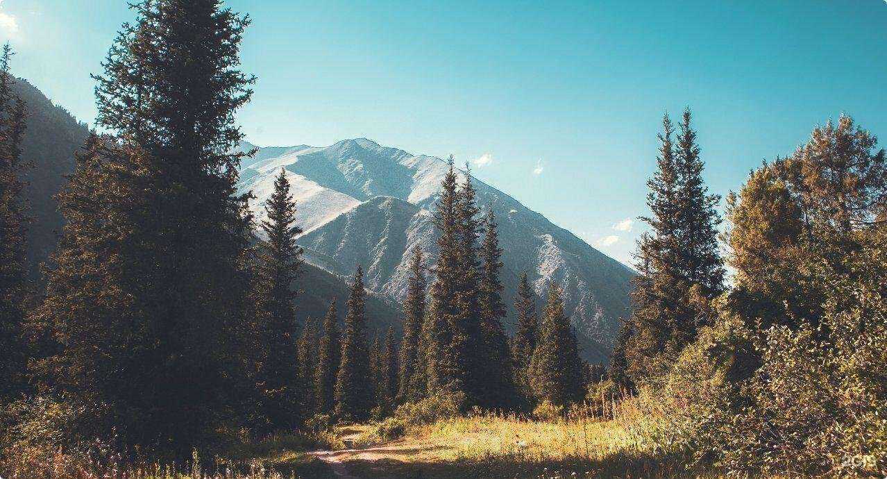 Отзывы на компанию Neovideo в Уфе c фото