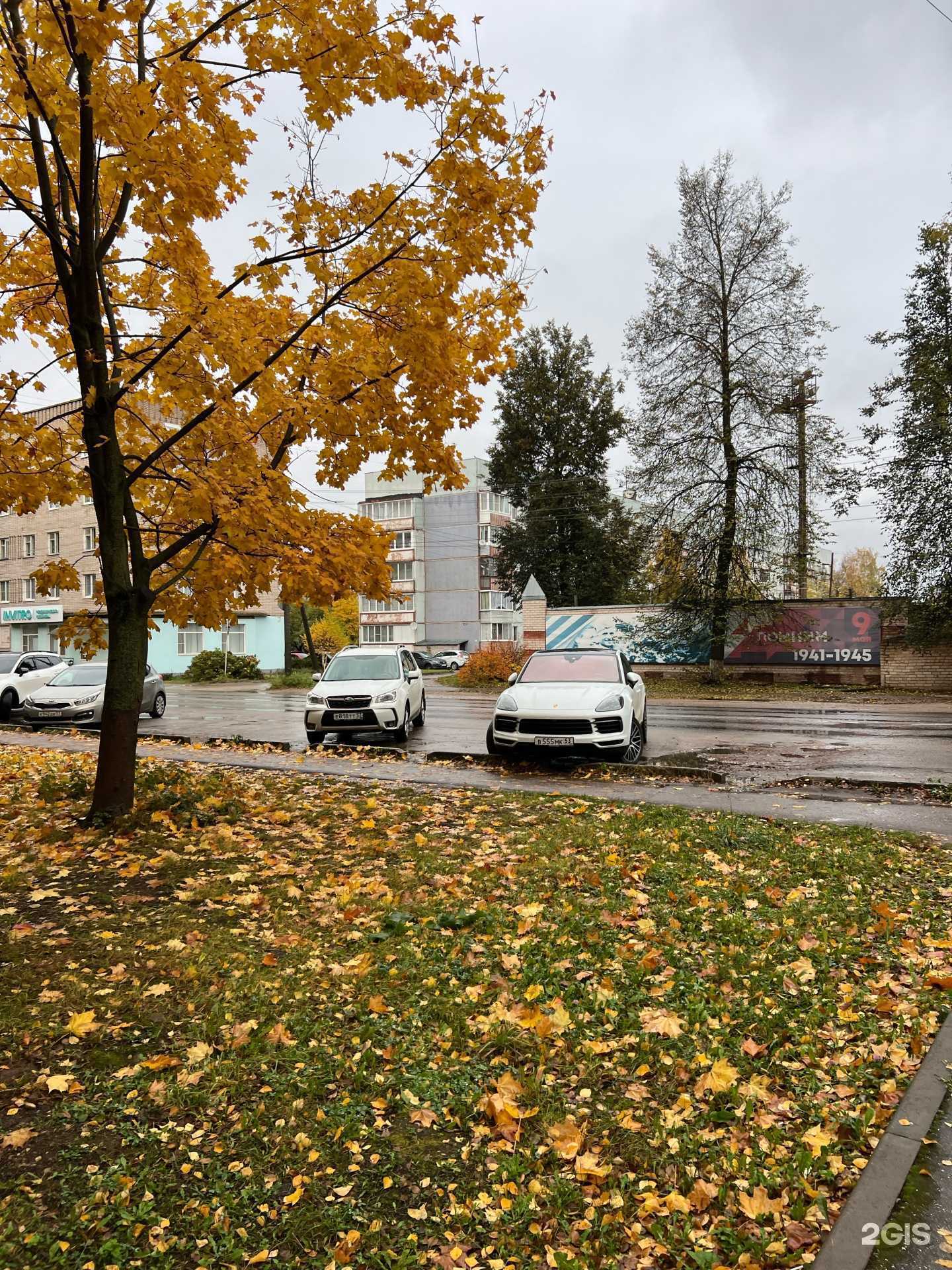 Отзывы на компанию Студия лазерной эпиляции в Боровичах c фото