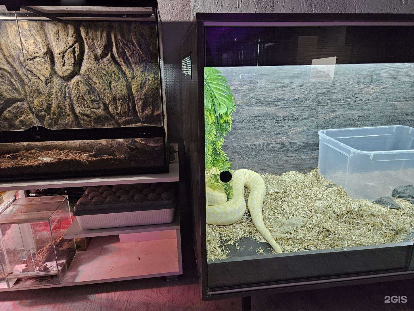 Отзывы на компанию Киперы Алтая в г. Барнаул c фото