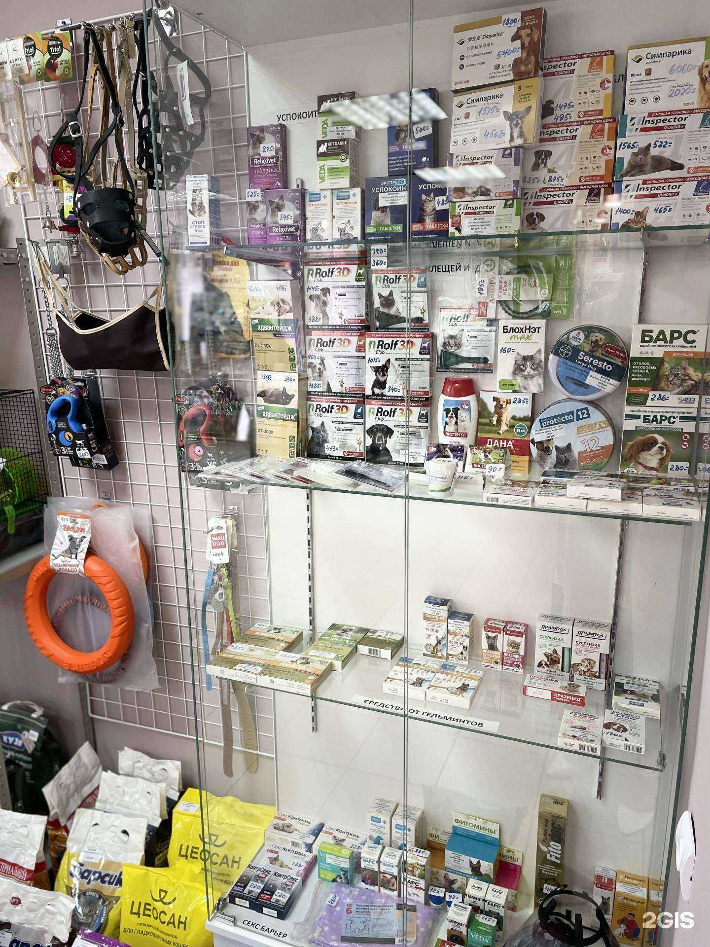 Отзывы на компанию Zооленд в г. Новомосковск c фото