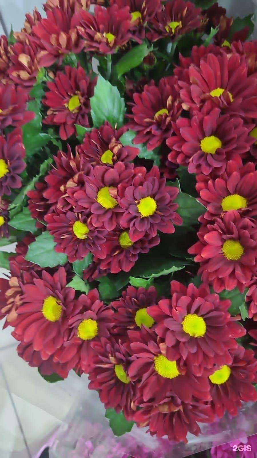 Отзывы на компанию Низкоцен в Нижневартовске c фото