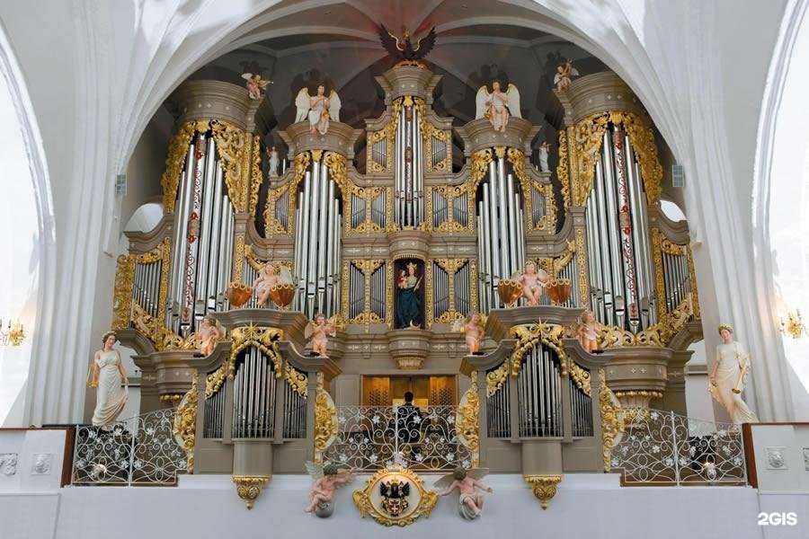 Отзывы на компанию Максик в Калининграде c фото