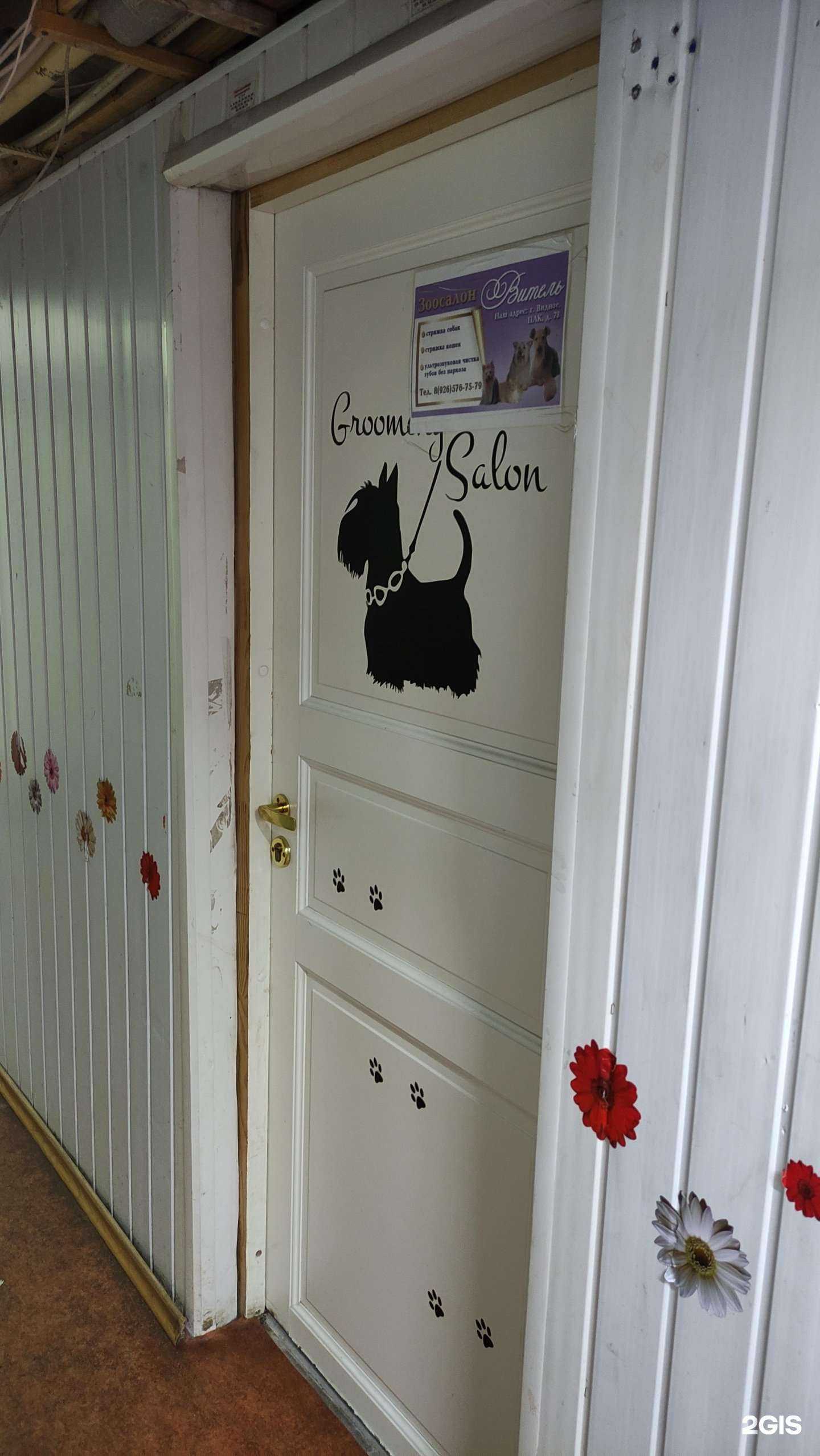 Отзывы на компанию Витель в Видном c фото