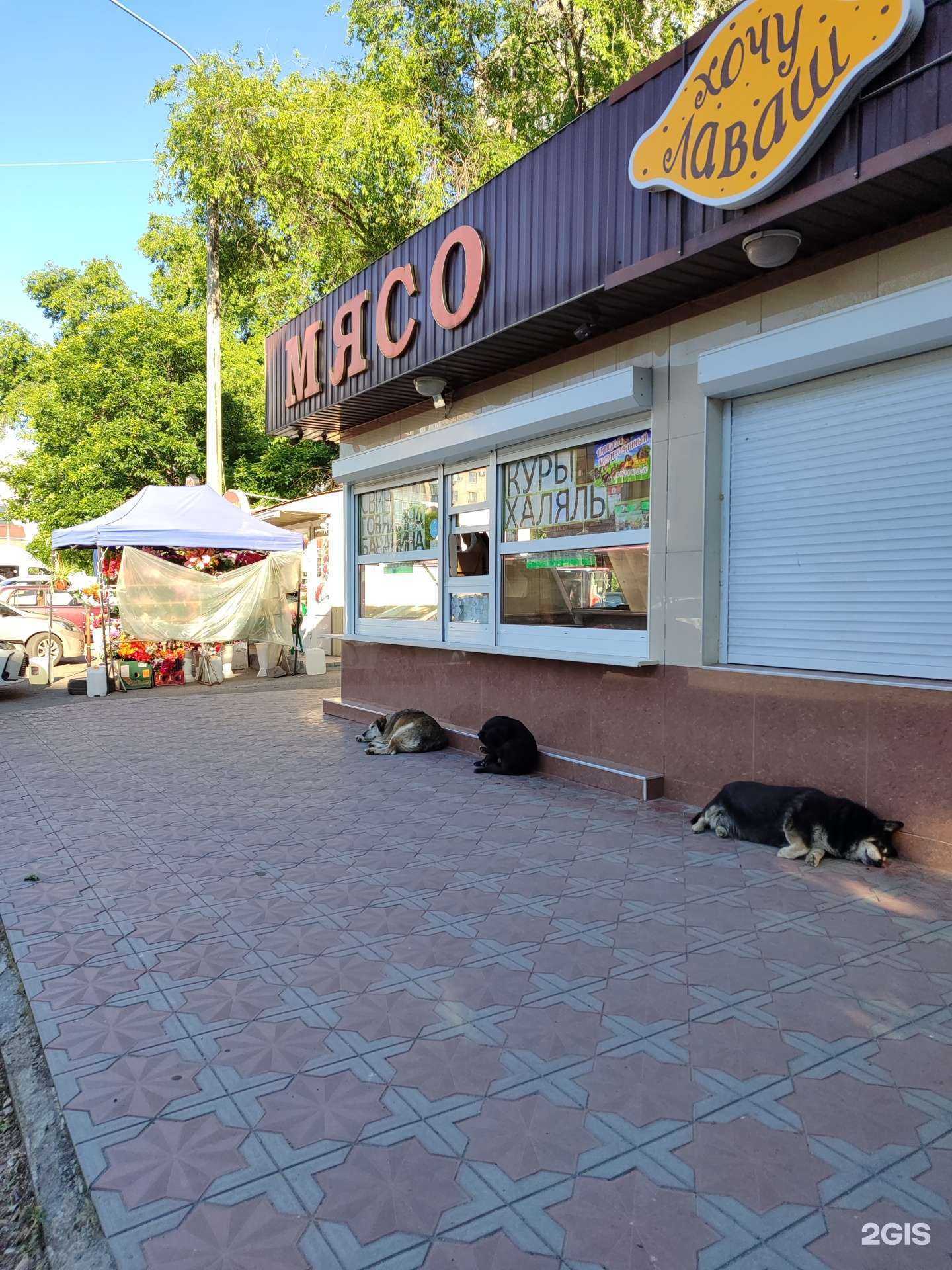 Отзывы на компанию Киоск мясной продукции в г. Невинномысск c фото