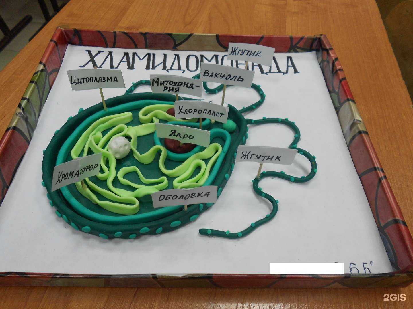 Отзывы на компанию Учебно-репетиторский центр в Анапе c фото