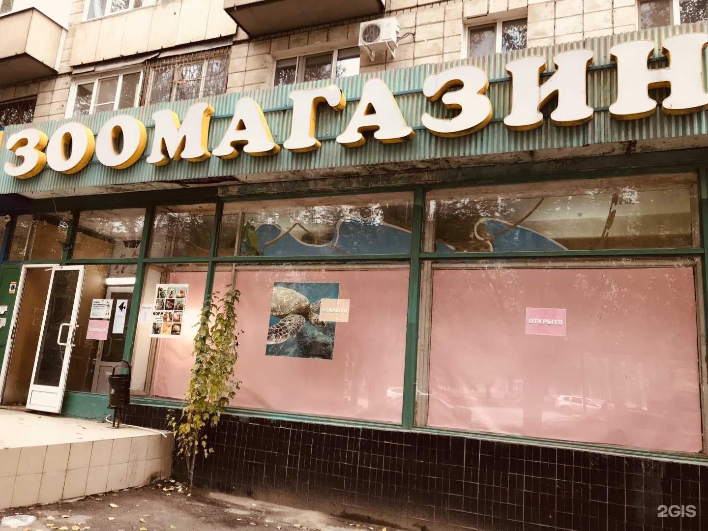 Отзывы на компанию Друг ждёт в Волгограде c фото