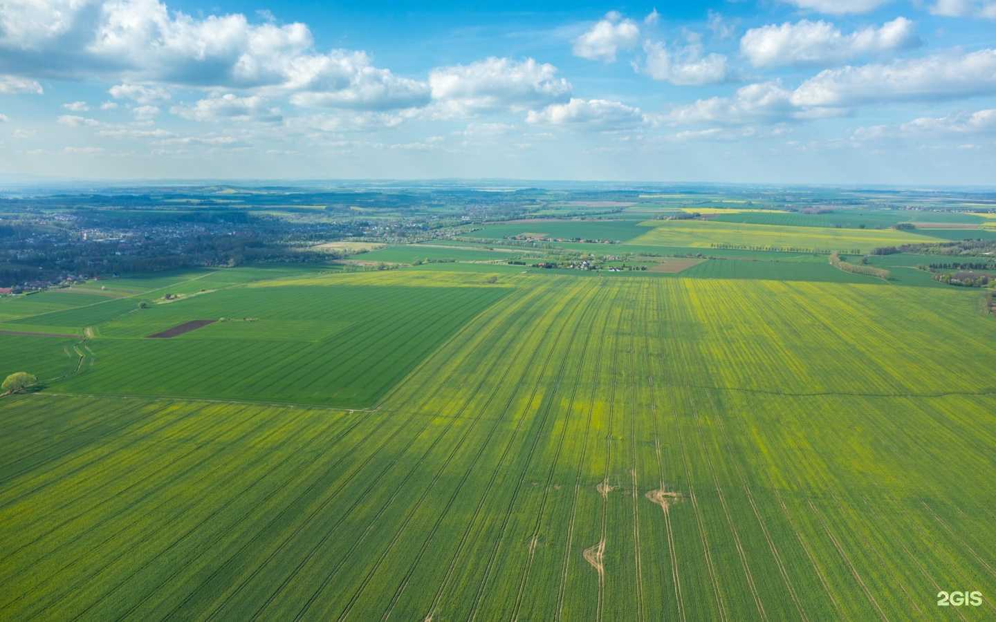 Отзывы на компанию Vip-Консалтинг в г. Ярославль c фото