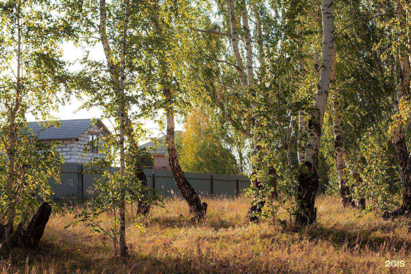 Отзывы на компанию Главный в Копейске c фото